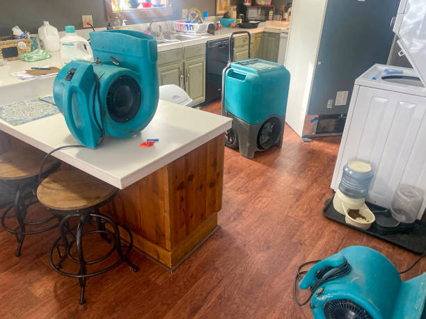 Best Flood damage cleanup  in Whitesboro, NY