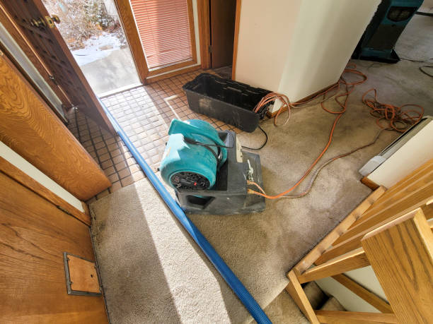 Best Fire Damage Restoration  in Whitesboro, NY