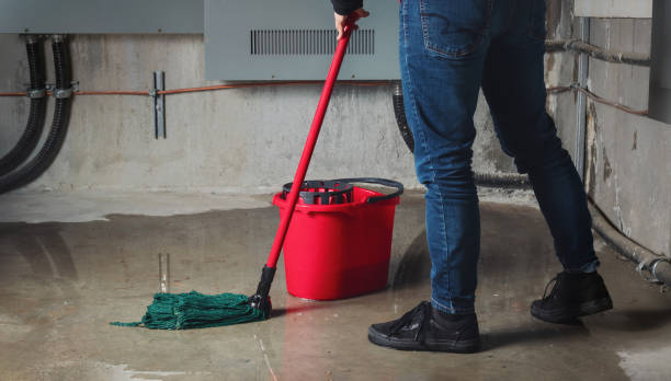 Best Carpet water damage restoration  in Whitesboro, NY