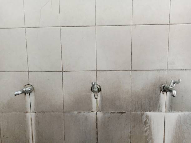 Best Emergency water damage restoration  in Whitesboro, NY