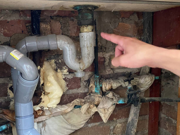 Best Basement water damage restoration  in Whitesboro, NY