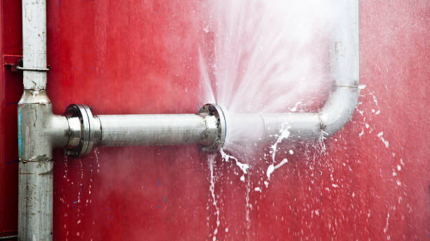 Best Professional water damage repair  in Whitesboro, NY
